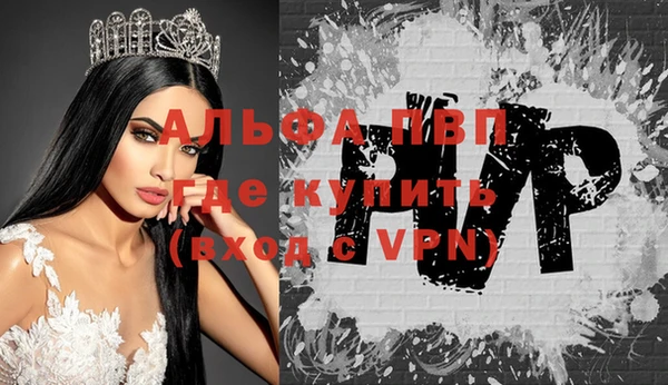 стафф Вяземский