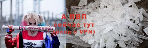 стафф Вяземский