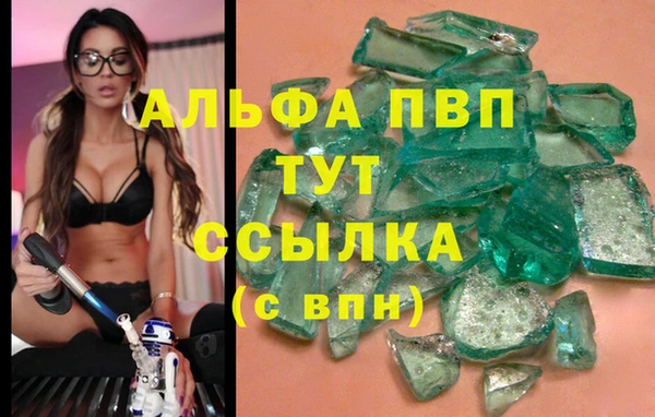 стафф Вяземский