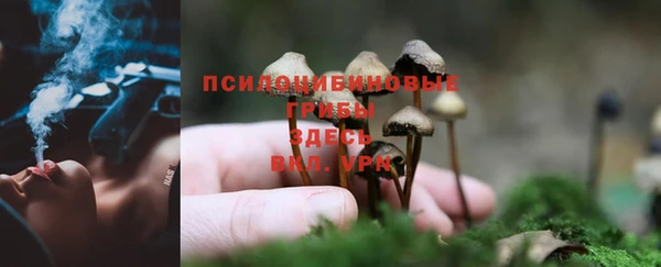 альфа пвп Вязьма