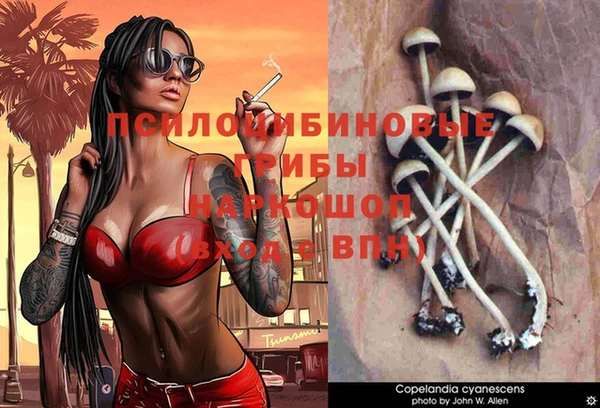 ALPHA-PVP Вязники