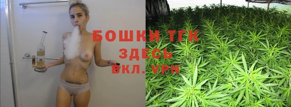 стафф Вяземский